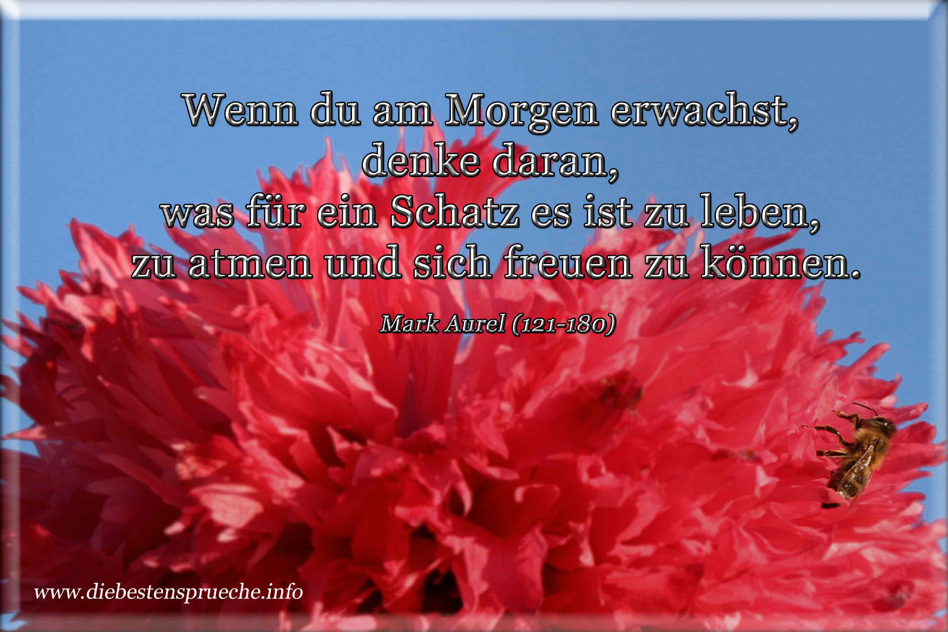 Die Besten Spruche Gedanken In Worte Und Bilder Gefasst