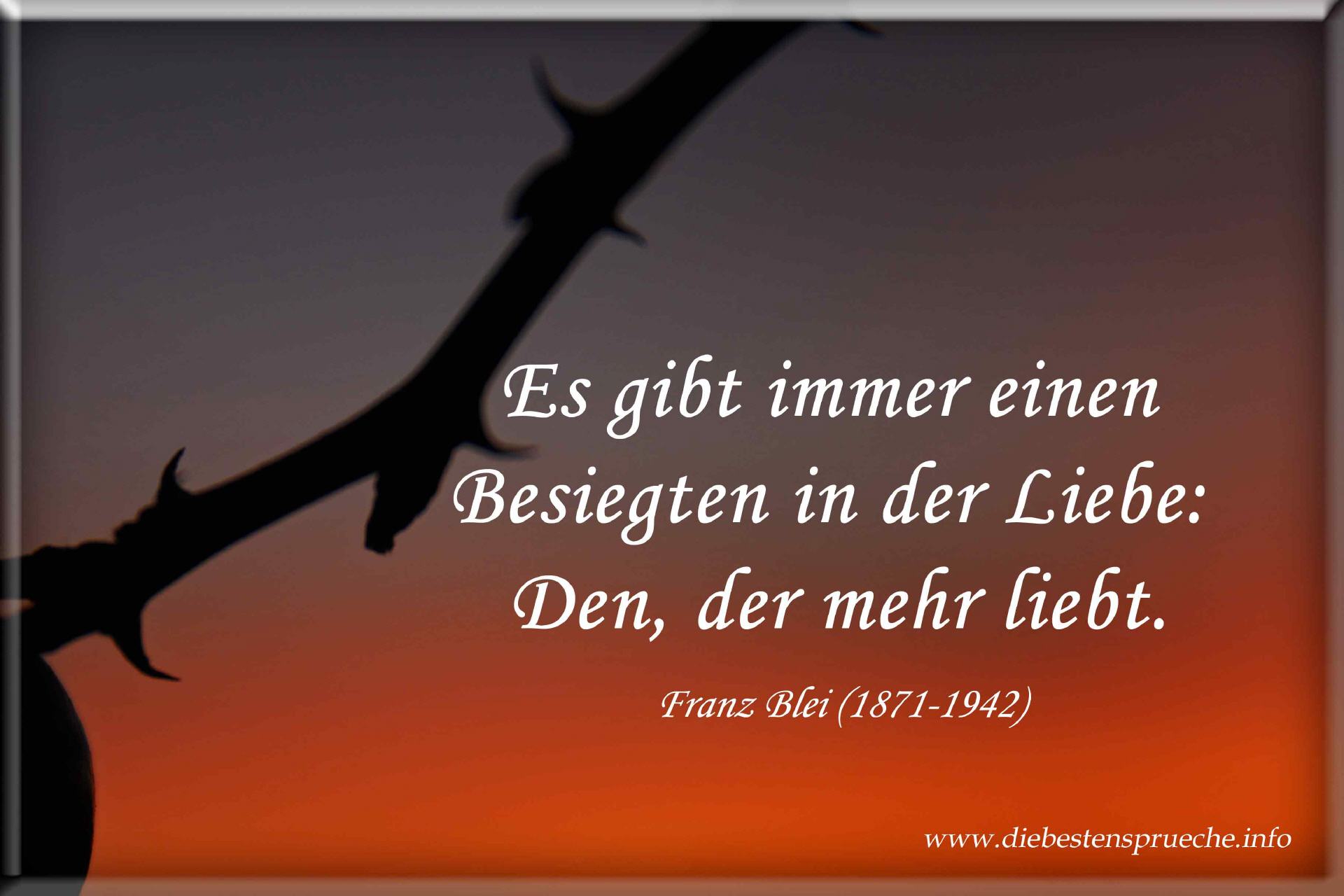 An die verloren glaube liebe Studie: Glaube