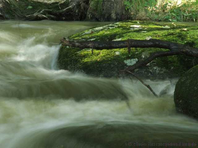 Der Weg des Lebens ist wie ein Fluss,