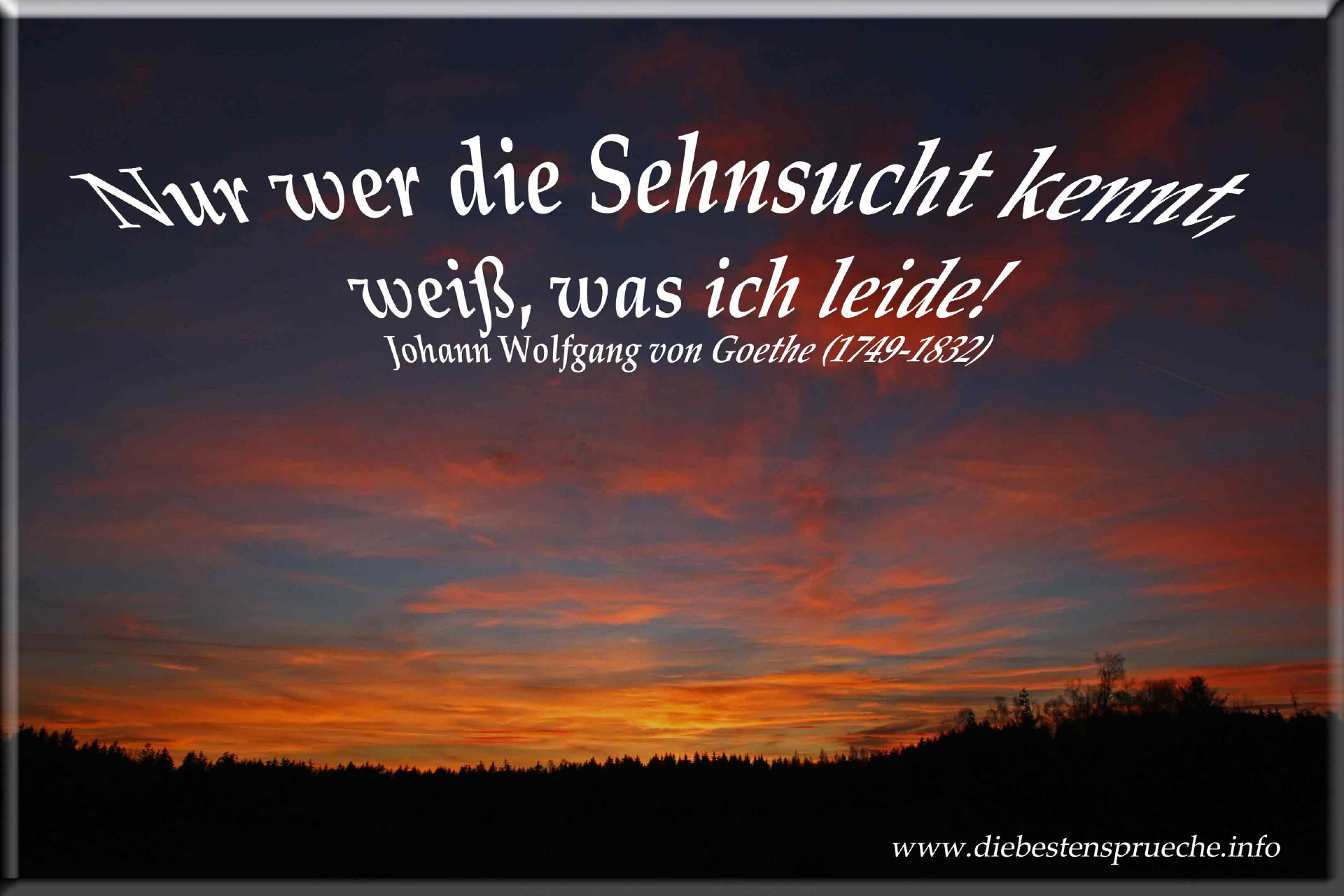 Liebe und Sehnsucht.