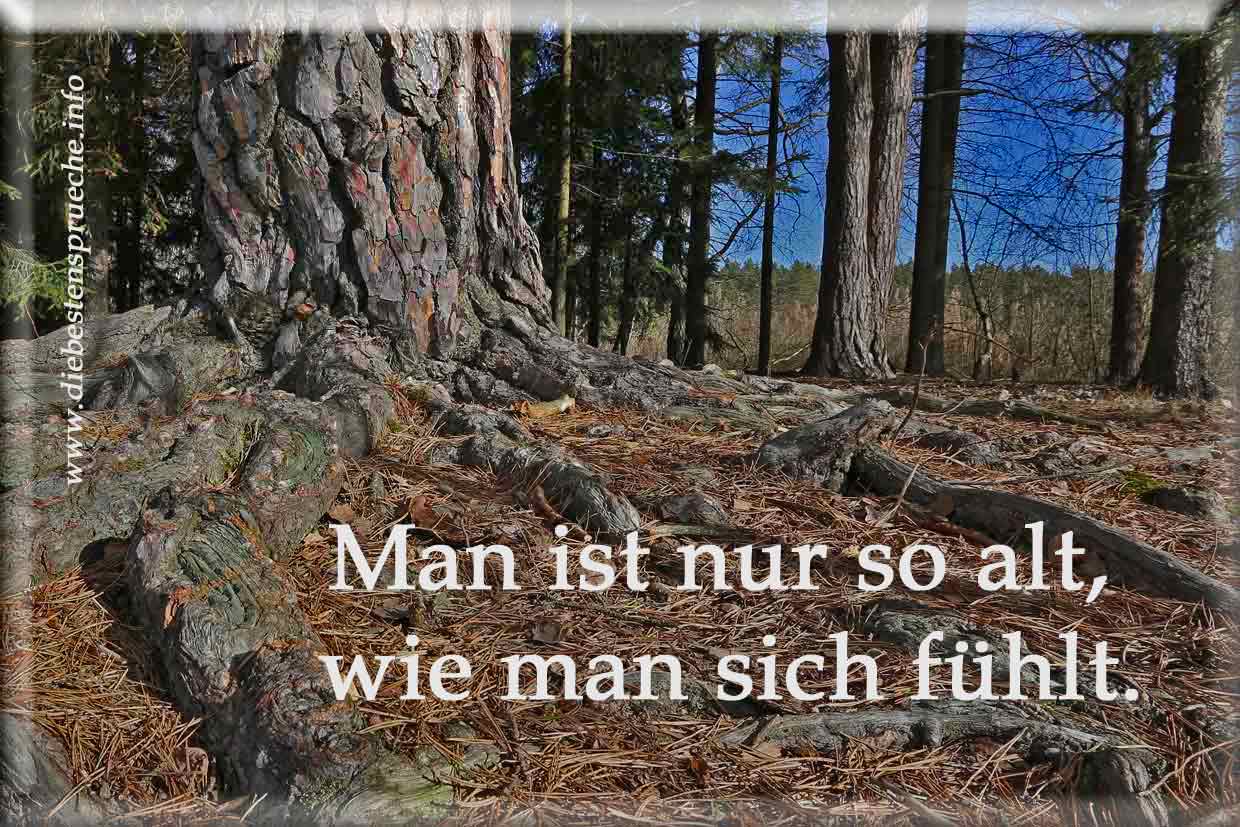 Sprüche zum Alter