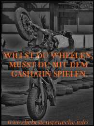 Cooler Wheelie Spruch