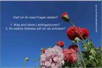Flirtspruch: "Darf ich dich etwas fragen?", vor Mohnblumen