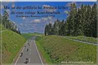 Mir ist die gefährliche Freiheit lieber als eine ruhige Knechtschaft.