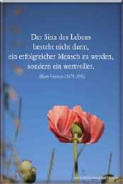 Der Sinn des Lebens besteht nicht darin, ein erfolgreicher Mensch zu werden, sondern ein wertvoller.